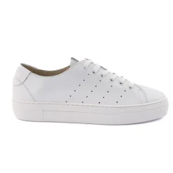 Sneakers Basse Donna Step